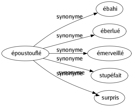 Synonyme de Époustouflé : Ébahi Éberlué Émerveillé Stupéfait Surpris 