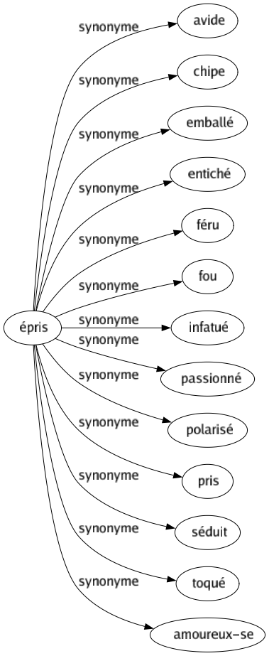 Synonyme de Épris : Avide Chipe Emballé Entiché Féru Fou Infatué Passionné Polarisé Pris Séduit Toqué Amoureux-se 