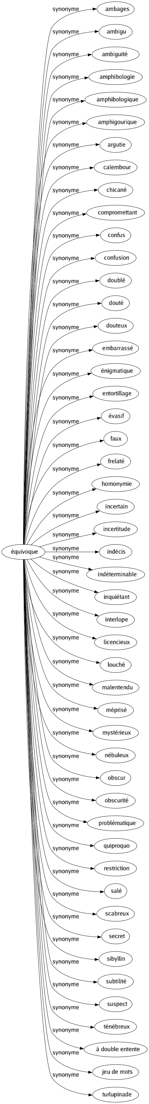 Synonyme de Équivoque : Ambages Ambigu Ambiguïté Amphibologie Amphibologique Amphigourique Argutie Calembour Chicané Compromettant Confus Confusion Doublé Douté Douteux Embarrassé Énigmatique Entortillage Évasif Faux Frelaté Homonymie Incertain Incertitude Indécis Indéterminable Inquiétant Interlope Licencieux Louché Malentendu Méprisé Mystérieux Nébuleux Obscur Obscurité Problématique Quiproquo Restriction Salé Scabreux Secret Sibyllin Subtilité Suspect Ténébreux À double entente Jeu de mots Turlupinade 