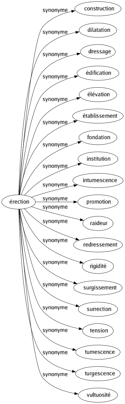 Synonyme de Érection : Construction Dilatation Dressage Édification Élévation Établissement Fondation Institution Intumescence Promotion Raideur Redressement Rigidité Surgissement Surrection Tension Tumescence Turgescence Vultuosité 