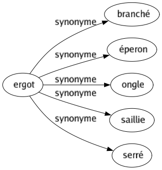 Synonyme de Ergot : Branché Éperon Ongle Saillie Serré 