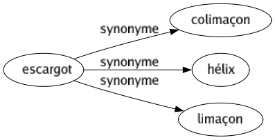 Synonyme de Escargot : Colimaçon Hélix Limaçon 