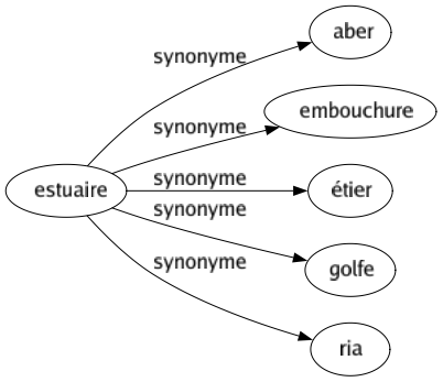 Synonyme de Estuaire : Aber Embouchure Étier Golfe Ria 