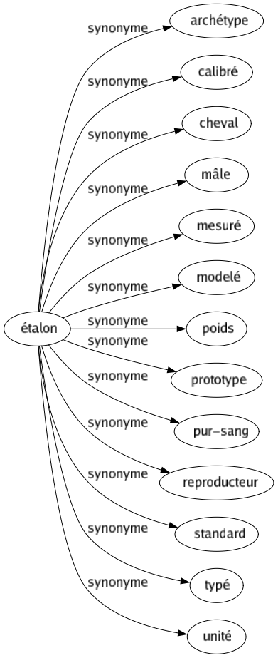 Synonyme de Étalon : Archétype Calibré Cheval Mâle Mesuré Modelé Poids Prototype Pur-sang Reproducteur Standard Typé Unité 