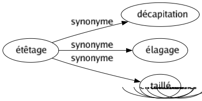 Synonyme de Étêtage : Décapitation Élagage Taillé 