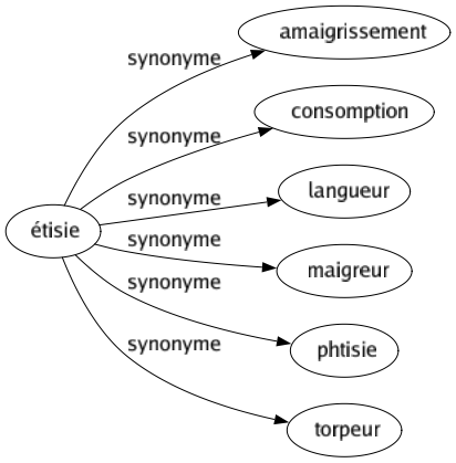 Synonyme de Étisie : Amaigrissement Consomption Langueur Maigreur Phtisie Torpeur 