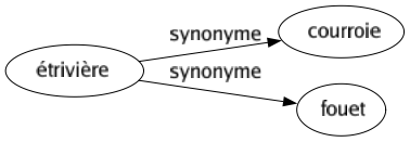 Synonyme de Étrivière : Courroie Fouet 