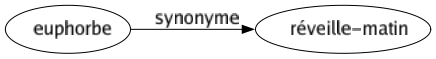 Synonyme de Euphorbe : Réveille-matin 