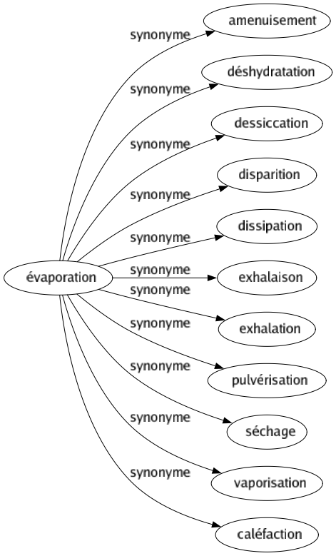 Synonyme de Évaporation : Amenuisement Déshydratation Dessiccation Disparition Dissipation Exhalaison Exhalation Pulvérisation Séchage Vaporisation Caléfaction 
