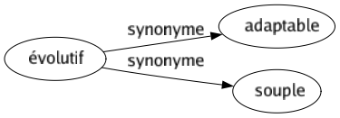 Synonyme de Évolutif : Adaptable Souple 