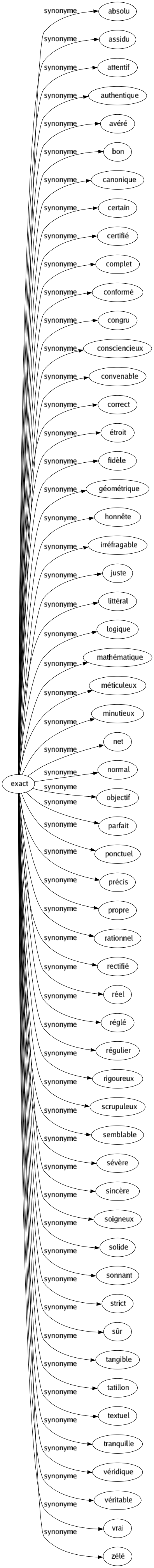 Synonyme de Exact : Absolu Assidu Attentif Authentique Avéré Bon Canonique Certain Certifié Complet Conformé Congru Consciencieux Convenable Correct Étroit Fidèle Géométrique Honnête Irréfragable Juste Littéral Logique Mathématique Méticuleux Minutieux Net Normal Objectif Parfait Ponctuel Précis Propre Rationnel Rectifié Réel Réglé Régulier Rigoureux Scrupuleux Semblable Sévère Sincère Soigneux Solide Sonnant Strict Sûr Tangible Tatillon Textuel Tranquille Véridique Véritable Vrai Zélé 