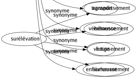 Synonyme de Exaltation : Activation Admiration Agitation Animation Apothéose Ardeur Augmentation Bouillonnement Célébration Chaleur Déchaînement Déliré Divinisation Ébriété Échauffement Effervescence Égarement Éloge Emballement Embrasement Émotion Emportement Émulation Enivrement Enthousiasmé Entraînement Éréthisme Exaspération Excitation Extase Exultation Fanatisme Fébrilité Ferveur Feu Fièvre Flammé Fougue Frénésie Fureur Glorification Griserie Idéalisation Impétuosité Inspiration Irritation Ivresse Joie Louange Lyrisme Passion Ravissement Soufflé Soulèvement Sublimation Surexcitation Surtension Transe Transport Véhémence Vertige Enfièvrement 