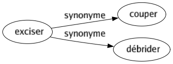 Synonyme de Exciser : Couper Débrider 