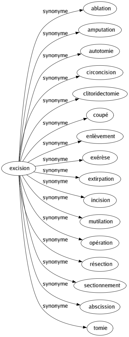 Synonyme de Excision : Ablation Amputation Autotomie Circoncision Clitoridectomie Coupé Enlèvement Exérèse Extirpation Incision Mutilation Opération Résection Sectionnement Abscission Tomie 