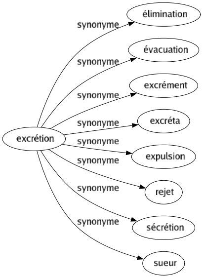 Synonyme de Excrétion : Élimination Évacuation Excrément Excréta Expulsion Rejet Sécrétion Sueur 