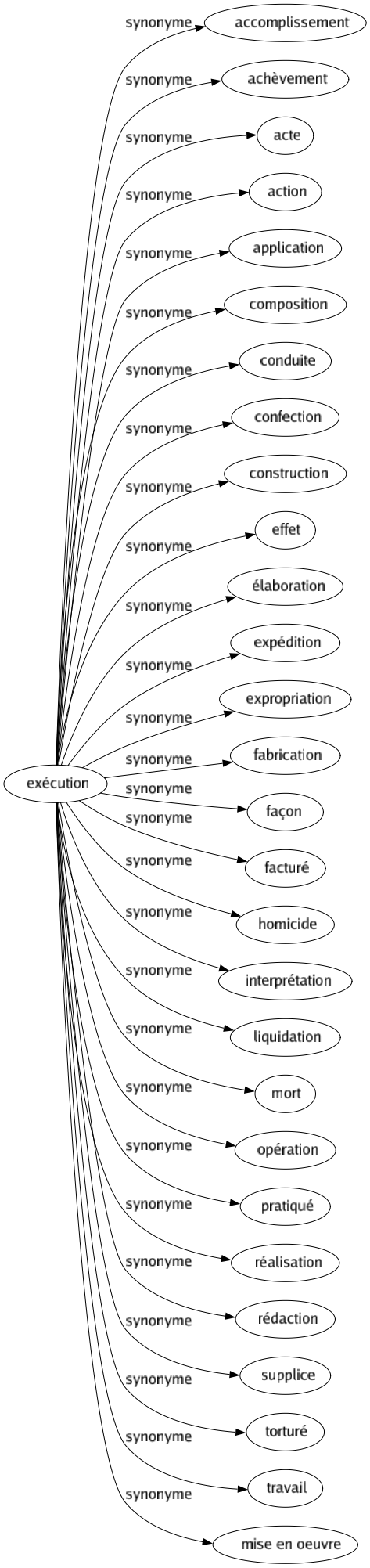 Synonyme de Exécution : Accomplissement Achèvement Acte Action Application Composition Conduite Confection Construction Effet Élaboration Expédition Expropriation Fabrication Façon Facturé Homicide Interprétation Liquidation Mort Opération Pratiqué Réalisation Rédaction Supplice Torturé Travail Mise en oeuvre 