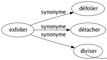 Synonyme de Exfolier : Défolier Détacher Diviser 