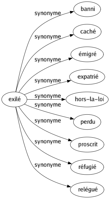 Synonyme de Exilé : Banni Caché Émigré Expatrié Hors-la-loi Perdu Proscrit Réfugié Relégué 