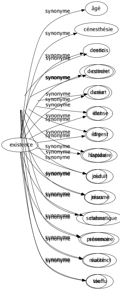 Synonyme de Existence : Âgé Cénesthésie Destin Destinée Durée État Être Histoire Jour Jours Nature Présence Réalité Vie 