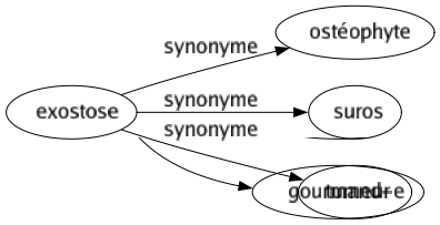 Synonyme de Exostose : Ostéophyte Suros Tumeur 