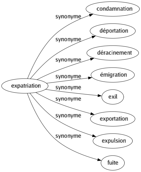 Synonyme de Expatriation : Condamnation Déportation Déracinement Émigration Exil Exportation Expulsion Fuite 