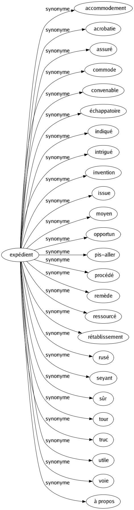 Synonyme de Expédient : Accommodement Acrobatie Assuré Commode Convenable Échappatoire Indiqué Intrigué Invention Issue Moyen Opportun Pis-aller Procédé Remède Ressourcé Rétablissement Rusé Seyant Sûr Tour Truc Utile Voie À propos 