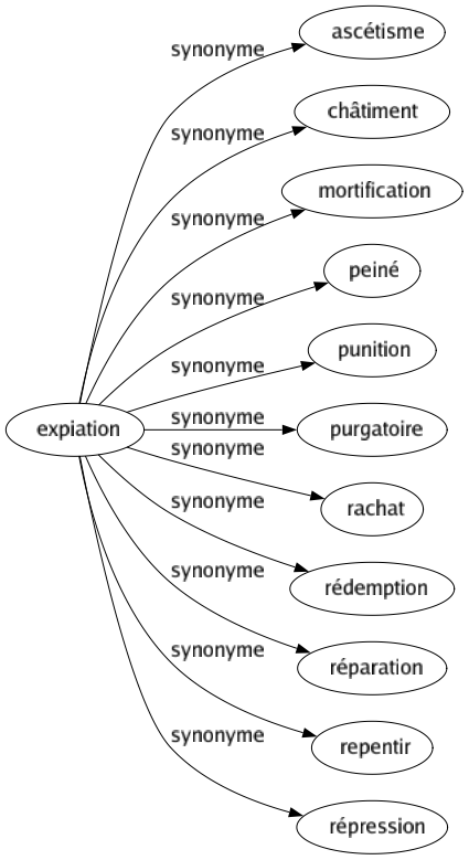 Synonyme de Expiation : Ascétisme Châtiment Mortification Peiné Punition Purgatoire Rachat Rédemption Réparation Repentir Répression 