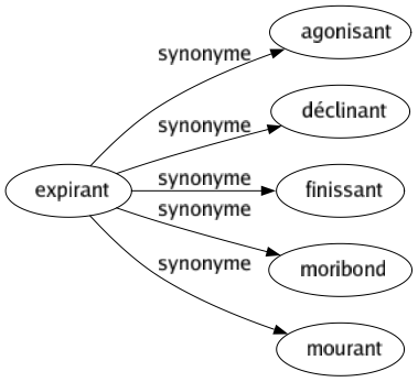 Synonyme de Expirant : Agonisant Déclinant Finissant Moribond Mourant 