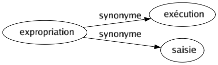 Synonyme de Expropriation : Exécution Saisie 