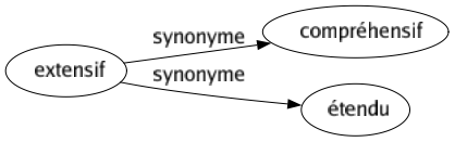 Synonyme de Extensif : Compréhensif Étendu 