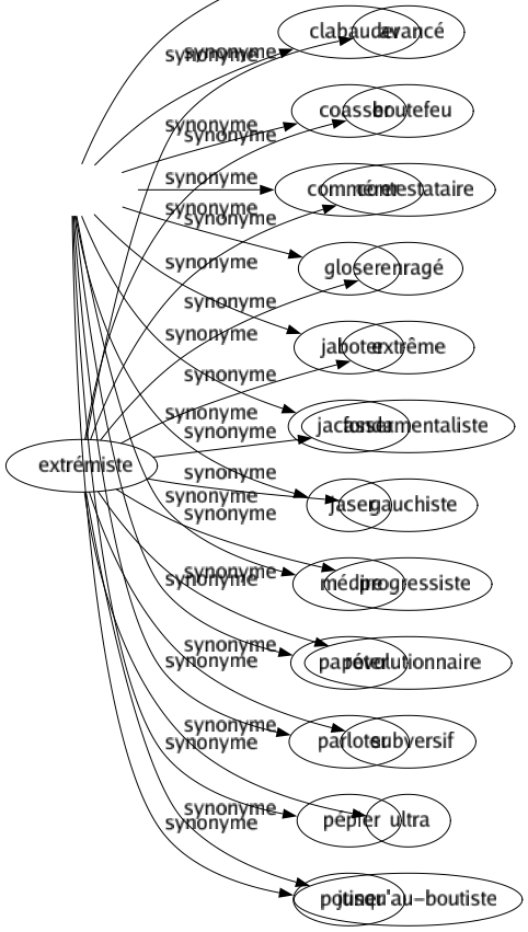 Synonyme de Extrémiste : Avancé Boutefeu Contestataire Enragé Extrême Fondamentaliste Gauchiste Progressiste Révolutionnaire Subversif Ultra Jusqu'au-boutiste 