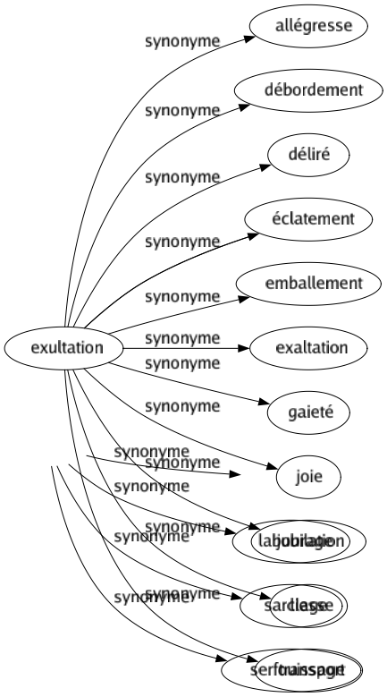 Synonyme de Exultation : Allégresse Débordement Déliré Éclatement Emballement Exaltation Gaieté Joie Jubilation Liesse Transport 
