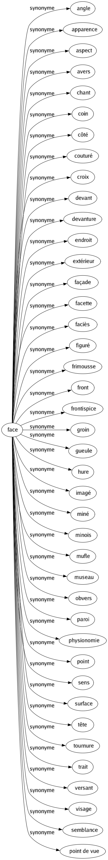 Synonyme de Face : Angle Apparence Aspect Avers Chant Coin Côté Couturé Croix Devant Devanture Endroit Extérieur Façade Facette Faciès Figuré Frimousse Front Frontispice Groin Gueule Hure Imagé Miné Minois Mufle Museau Obvers Paroi Physionomie Point Sens Surface Tête Tournure Trait Versant Visage Semblance Point de vue 