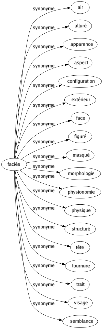 Synonyme de Faciès : Air Alluré Apparence Aspect Configuration Extérieur Face Figuré Masqué Morphologie Physionomie Physique Structuré Tête Tournure Trait Visage Semblance 