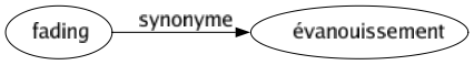 Synonyme de Fading : Évanouissement 