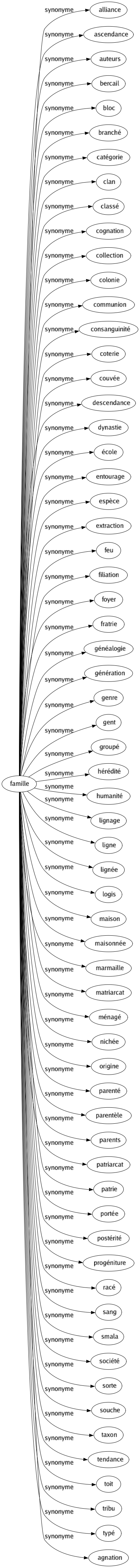 Synonyme de Famille : Alliance Ascendance Auteurs Bercail Bloc Branché Catégorie Clan Classé Cognation Collection Colonie Communion Consanguinité Coterie Couvée Descendance Dynastie École Entourage Espèce Extraction Feu Filiation Foyer Fratrie Généalogie Génération Genre Gent Groupé Hérédité Humanité Lignage Ligne Lignée Logis Maison Maisonnée Marmaille Matriarcat Ménagé Nichée Origine Parenté Parentèle Parents Patriarcat Patrie Portée Postérité Progéniture Racé Sang Smala Société Sorte Souche Taxon Tendance Toit Tribu Typé Agnation 