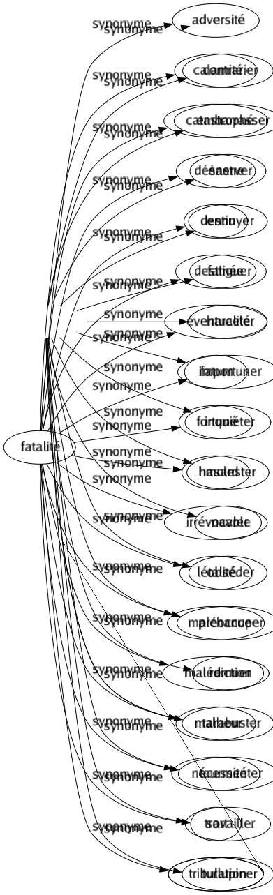Synonyme de Fatalité : Adversité Calamité Catastrophé Désastre Destin Destinée Éventualité Fatum Fortuné Hasard Irrévocable Létalité Malchance Malédiction Malheur Nécessité Sort Tribulation 