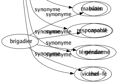 Synonyme de Fautif : Attaquable Condamnable Contrevenant Coupable Défectueux Délictueux Délinquant Erroné Faillible Faux Imparfait Imprudent Incorrect Inexact Injustifiable Irrégulier Mauvais Responsable Téméraire Vicieux 