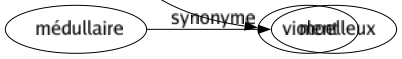 Synonyme de Fébrile : Ardent Bouillant Bouillonnant Chaud Échevelé Effervescent Endiablé Énervé Enfièvre Enflammé Exalté Excité Fiévreux Fougueux Frénétique Impatient Nerveux Passionné Surchauffé Véhément Vif Violent 