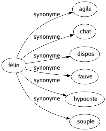Synonyme de Félin : Agile Chat Dispos Fauve Hypocrite Souple 