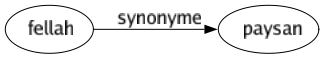 Synonyme de Fellah : Paysan 