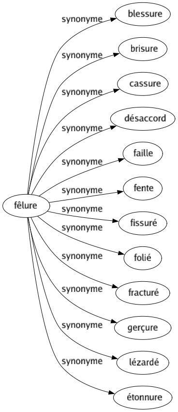 Synonyme de Fêlure : Blessure Brisure Cassure Désaccord Faille Fente Fissuré Folié Fracturé Gerçure Lézardé Étonnure 