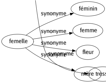 Synonyme de Femelle : Féminin Femme Fleur Mère 