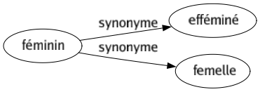 Synonyme de Féminin : Efféminé Femelle 