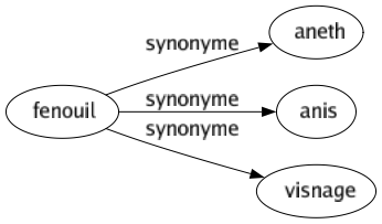 Synonyme de Fenouil : Aneth Anis Visnage 
