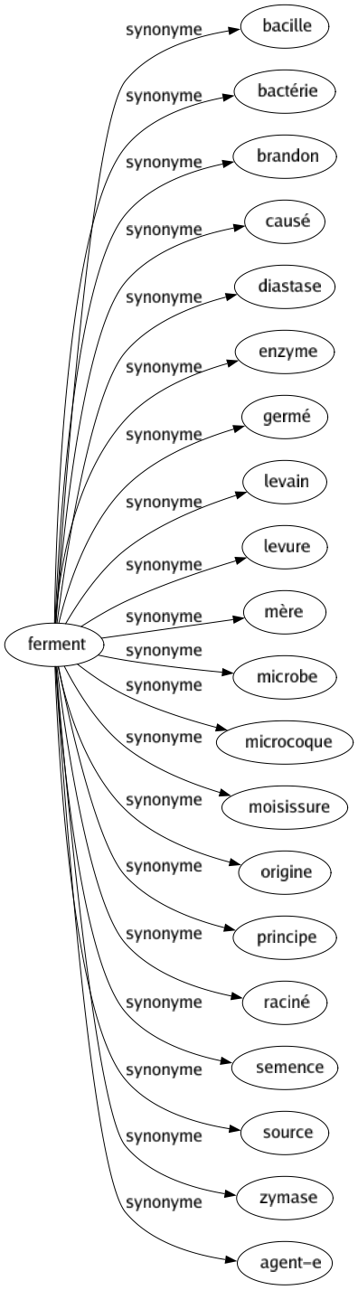 Synonyme de Ferment : Bacille Bactérie Brandon Causé Diastase Enzyme Germé Levain Levure Mère Microbe Microcoque Moisissure Origine Principe Raciné Semence Source Zymase Agent-e 