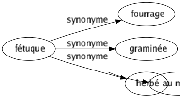 Synonyme de Fétuque : Fourrage Graminée Herbé 
