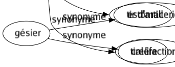 Synonyme de Feu : Action Agitation Allumette Âme Amour Animation Ardeur Âtre Attachement Attaqué Autodafé Balisage Balisé Bataille Bouillonnement Braisé Brandon Brasier Brillant Briquet Brûlément Brûlure Bûcher Calcination Calibré Canonnade Cautère Chaleur Chauffé Cheminée Codé Colère Combat Combustion Conflagration Consomption Conviction Courroux Crémation Cuisson Décédé Déchargé Défunt Démangeaison Désir Échauffement Éclairage Éclat Élan Emballement Embrasement Emportement Empressement Enfer Enthousiasmé Entrain Entraînement Éruption Étincelle Exaltation Excitation Explosion Famille Fanal Fanatisme Fièvre Flambeau Flambée Flamboiement Flammé Flingue Forcé Foudre Fougue Fournaise Foyer Fulguration Fusillade Guerre Ignition Impétuosité Incandescence Incendié Inflammation Inspiration Irritation Lampe Lanterne Lueur Lumière Lustré Maison Ménagé Mort Orage Passion Pétard Pétulance Phare Pilonnage Pistolet Prurit Regretté Révolté Révolution Revolver Rif Rouge Rougeur Scintillement Signal Signalisation Sinistré Tempérament Tendresse Tir Tonnerre Torche Véhémence Violence Vivacité Tir d'artillerie Caléfaction 