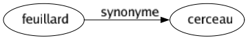 Synonyme de Feuillard : Cerceau 