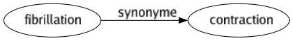 Synonyme de Fibrillation : Contraction 